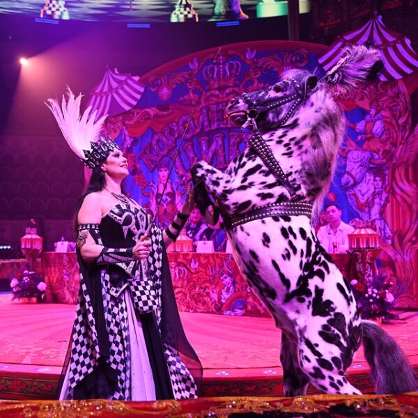 Куда сходить на весенних каникулах в Санкт-Петербурге