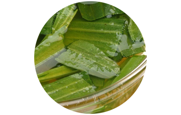 Настой подорожника. Фото: Pixabay