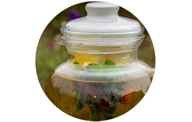 Горячий настой подорожника. Фото: Pixabay