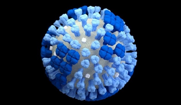 Вирус гриппа