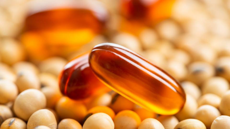 Лецитин: для чего нужен организму мужчин и женщин