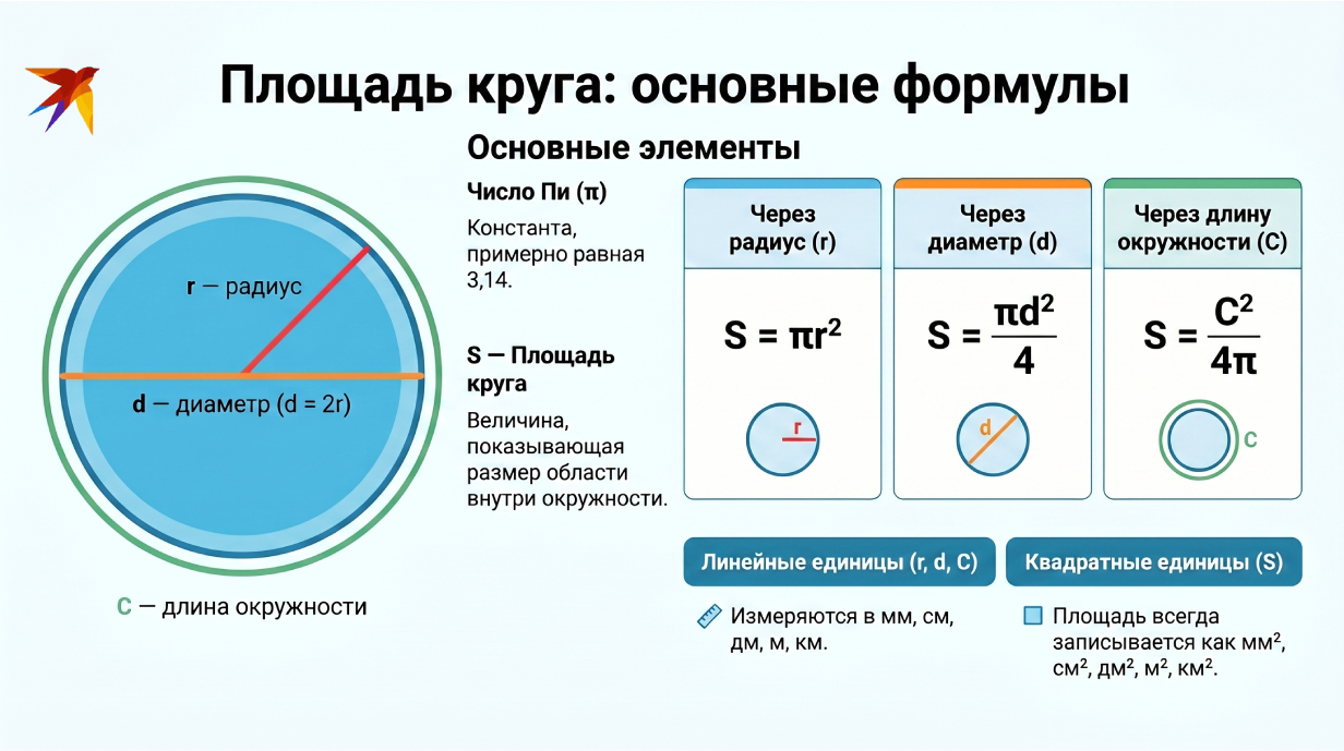 Площадь круга инфографика