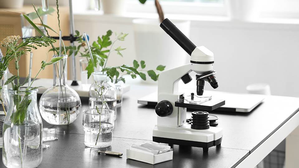 Лучшие микроскопы 2025