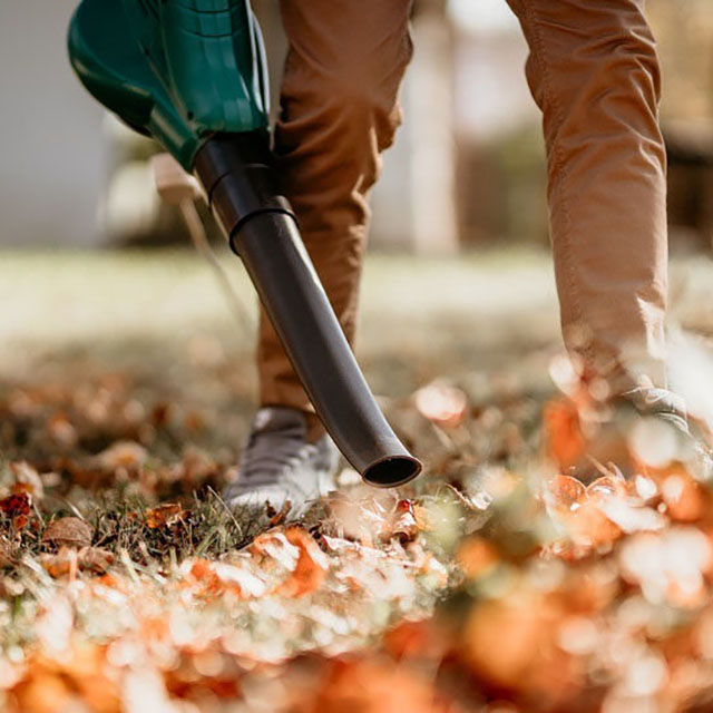 Лучшие садовые пылесосы