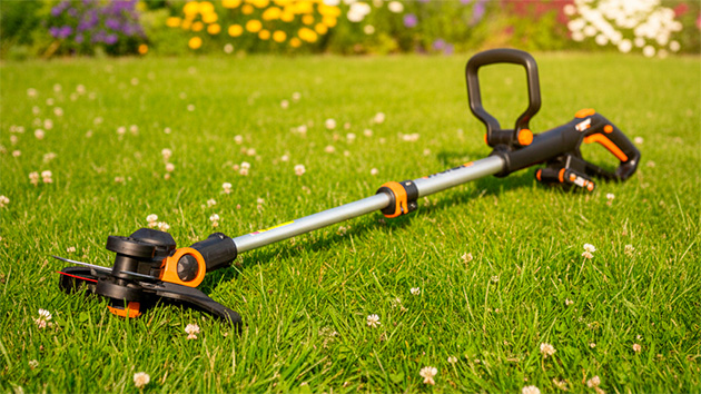 WORX WG163E.2. Фото: Ян Ляпин / Нейросеть