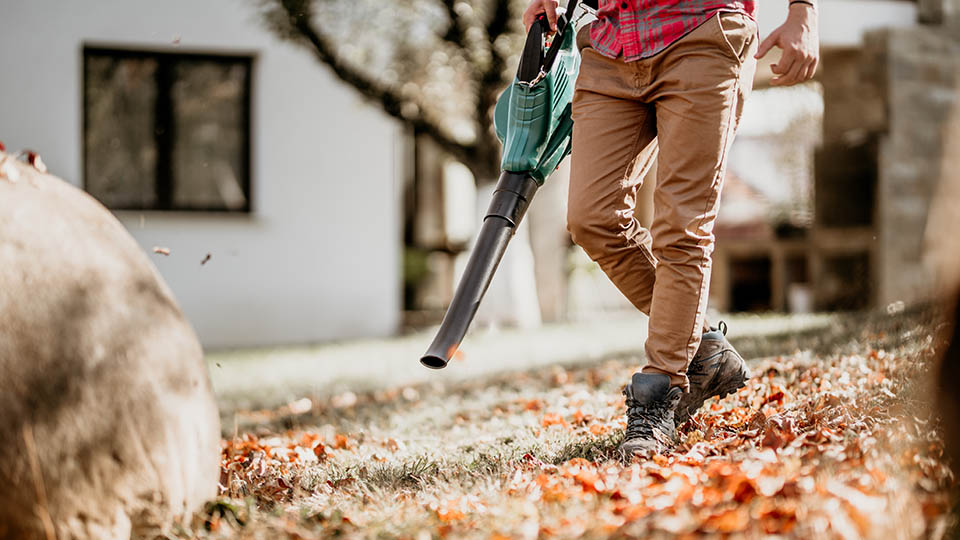 12 лучших бензиновых воздуходувок в 2025 году