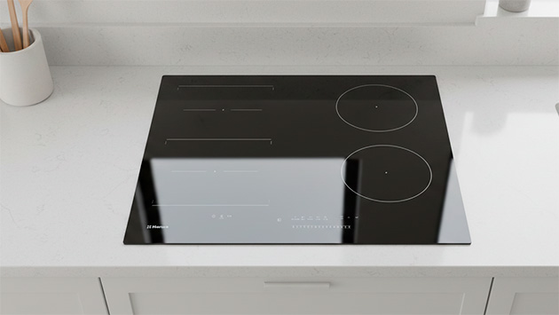 Hansa BHI67606. Фото: Татьяна Фадеева / Нейросеть