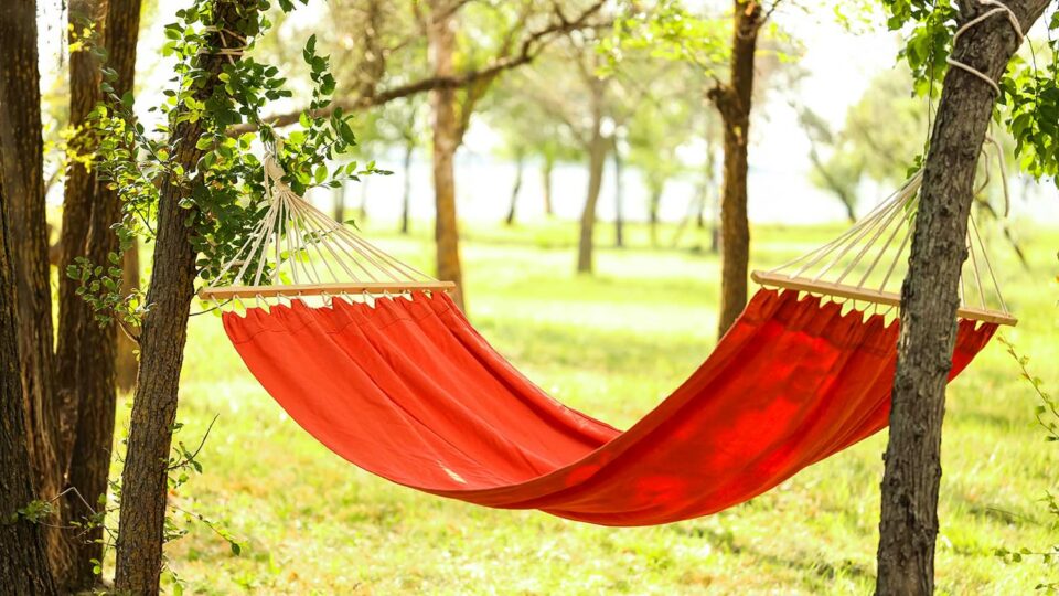 Гамак. Фото: Pixel-Shot / Shutterstock / Fotodom