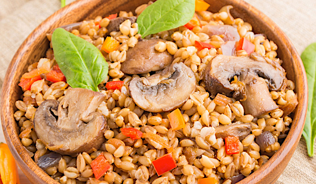 Полба: польза и вред для организма