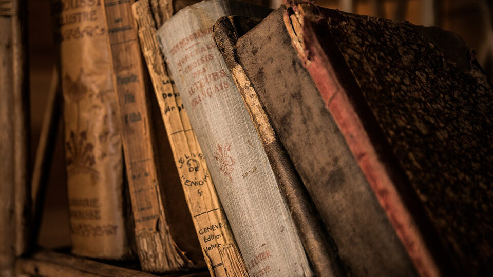 Международный день книгодарения 2026: история и традиции праздника