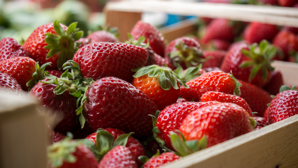 Лучшие сорта клубники