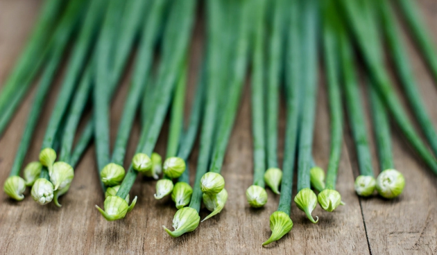 В чем выращивать