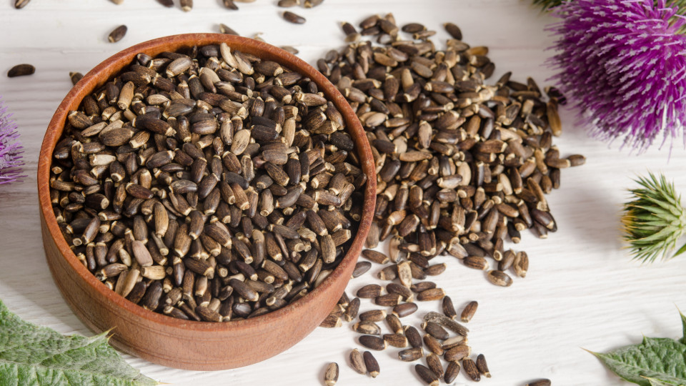 Лучшие семена для печени