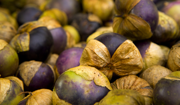 Физалис овощной