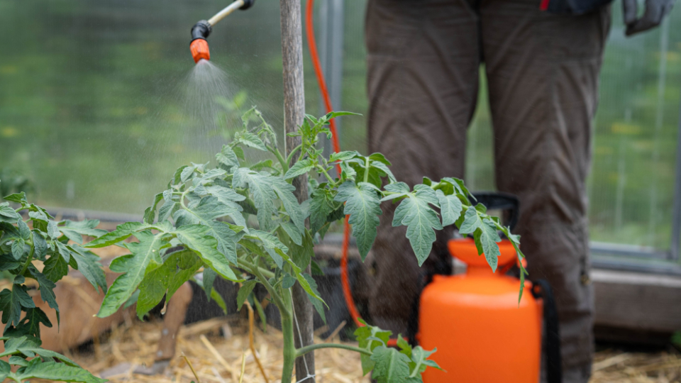 Брексил кальция
