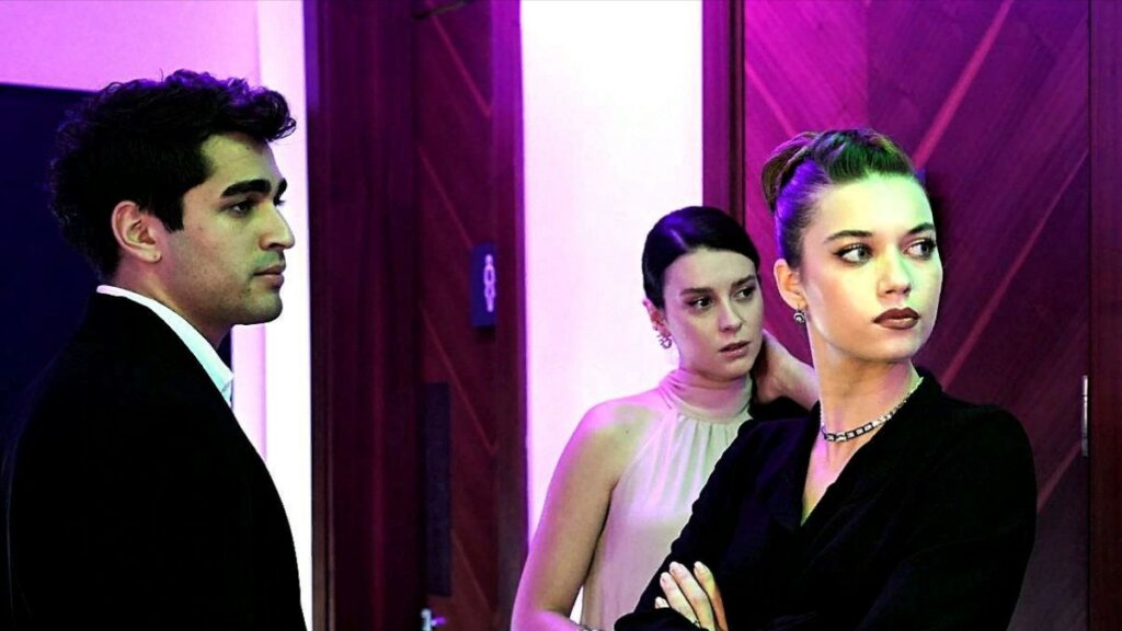 Пелин остается, а Сейран уходит — ужасающее будущее в «Зимородке»