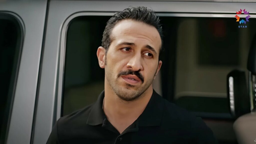 Абидин — дядя или брат Ферита в «Зимородке»