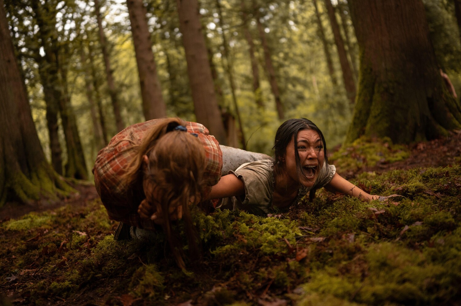 Бөксесін көрсететін қыздардың сексуалды бейнелері