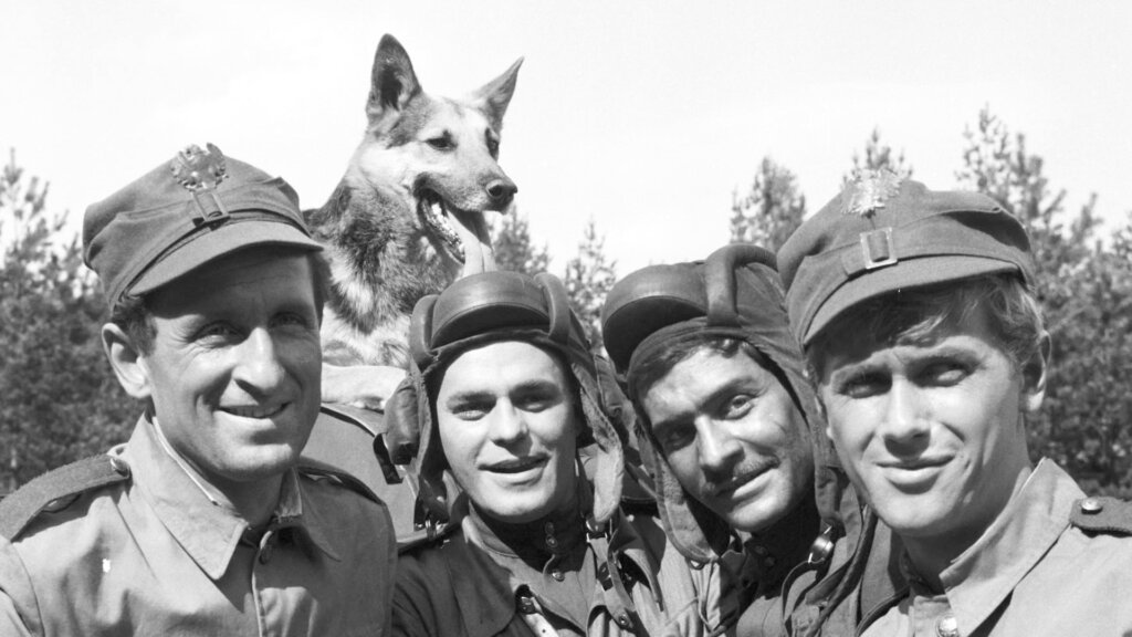 Как снимали сериал «Четыре танкиста и собака», что стало с Шариком и где сейчас «Рыжий»