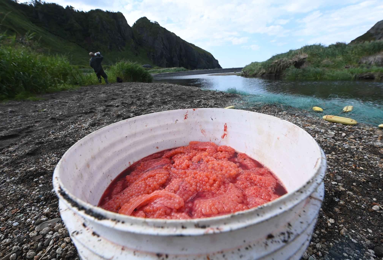 экспедиция на курилы VEL_2860