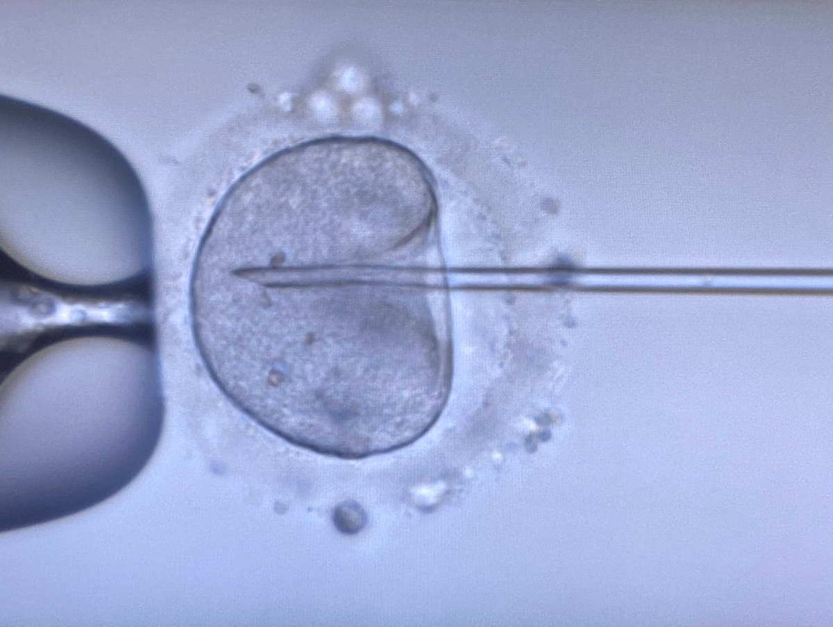 Клиника репродуктивной и пренатальной медицины ЕМС в Москве: отзывы ...