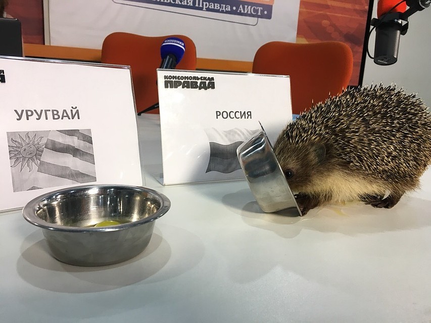 Еж Курск Магазин Рекламы Официальный Сайт