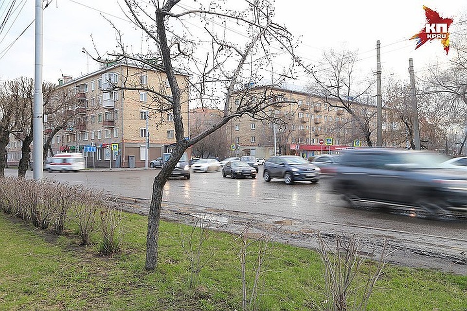 Петербуржцев предупреждают о сильном ветре