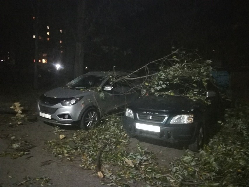Томские коммунальщики устраняют последствия шквалистого ветра Томские коммунальщики устраняют последствия шквалистого ветра