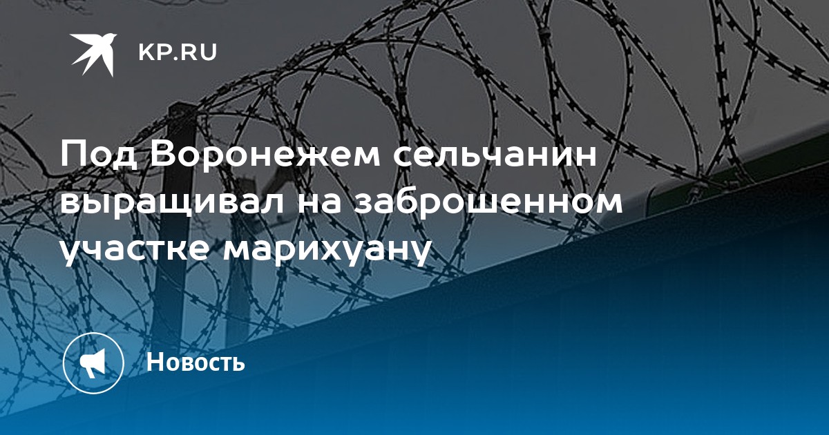 марихуана новое видео марихуана новое видео