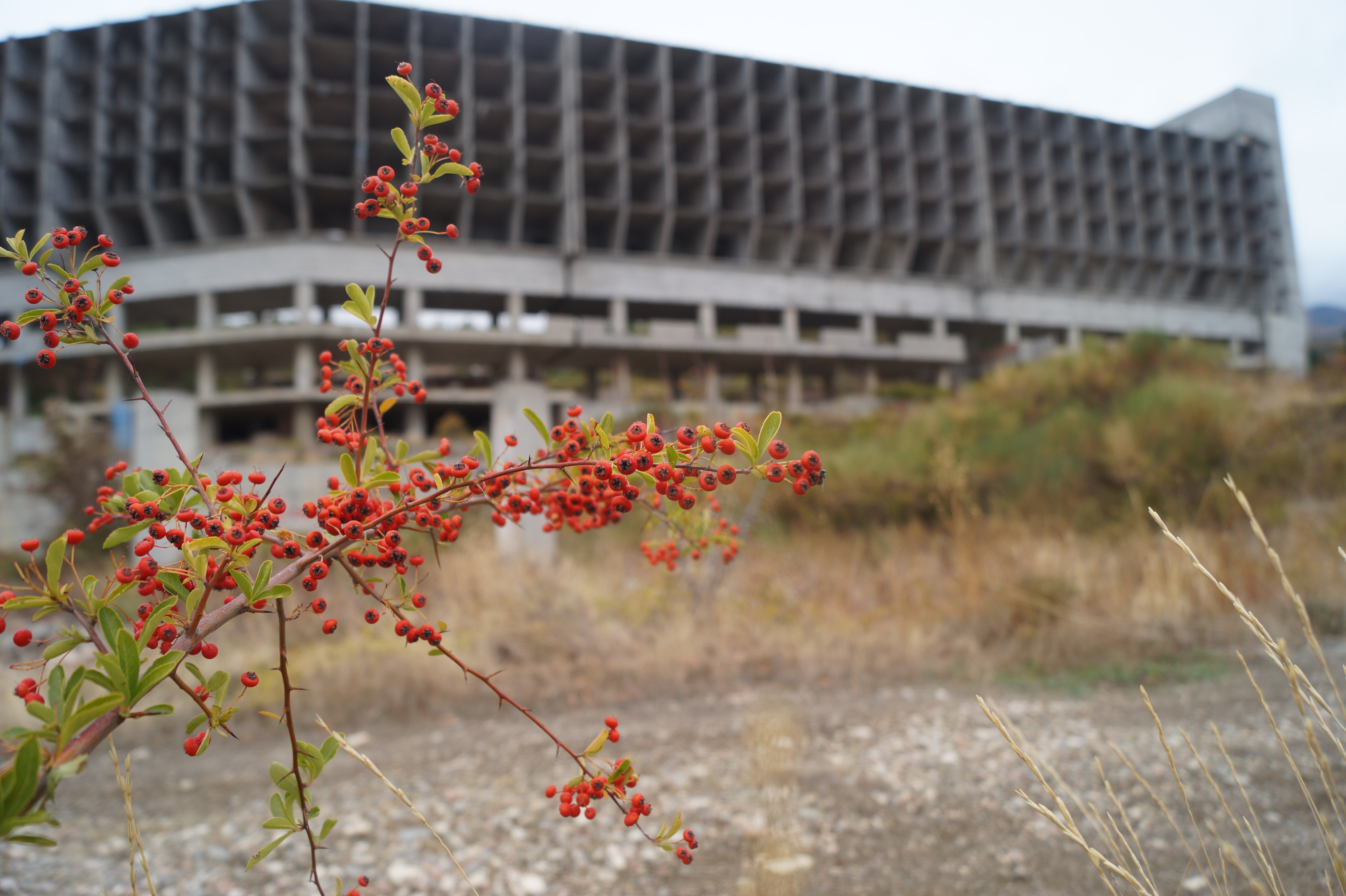 Огромный недострой превратят в казино