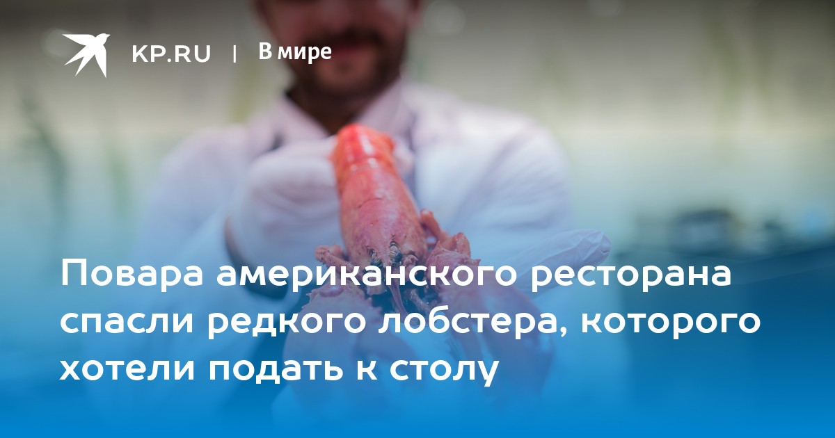 Повара американского ресторана спасли редкого лобстера, которого хотели подать к столу - Vimarsana News