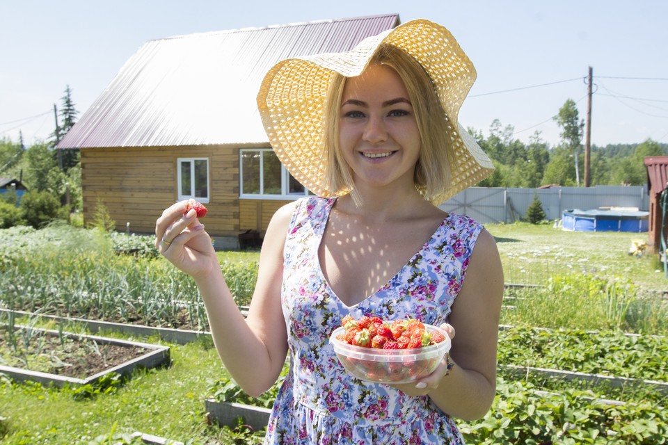 Погода на июль 2021 года в Новосибирске «клубничные