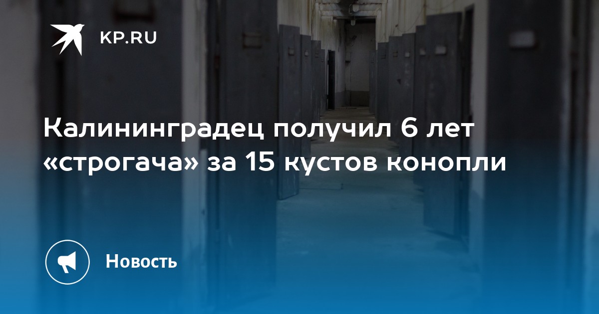 Наказание за употребление конопли Наказание за употребление конопли tor browser как настроить видео hyrda