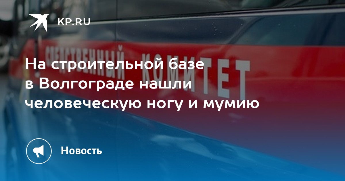 На строительной базе в Волгограде нашли человеческую ногу и мумию - Vimarsana News
