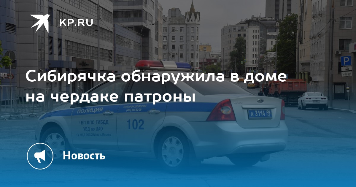 Сибирячка обнаружила в доме на чердаке патроны - Vimarsana News
