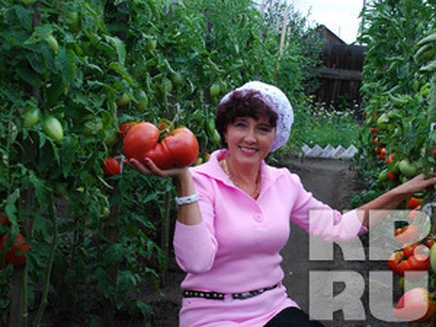 Ищу рецепт на нашем форуме