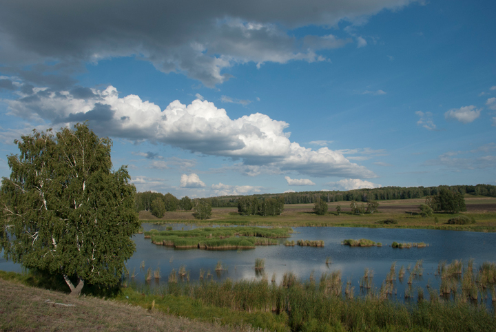 Подумать только: тысячи лет назад на месте этого озера были огромные сосны – их стволы находят на дне до сих пор.