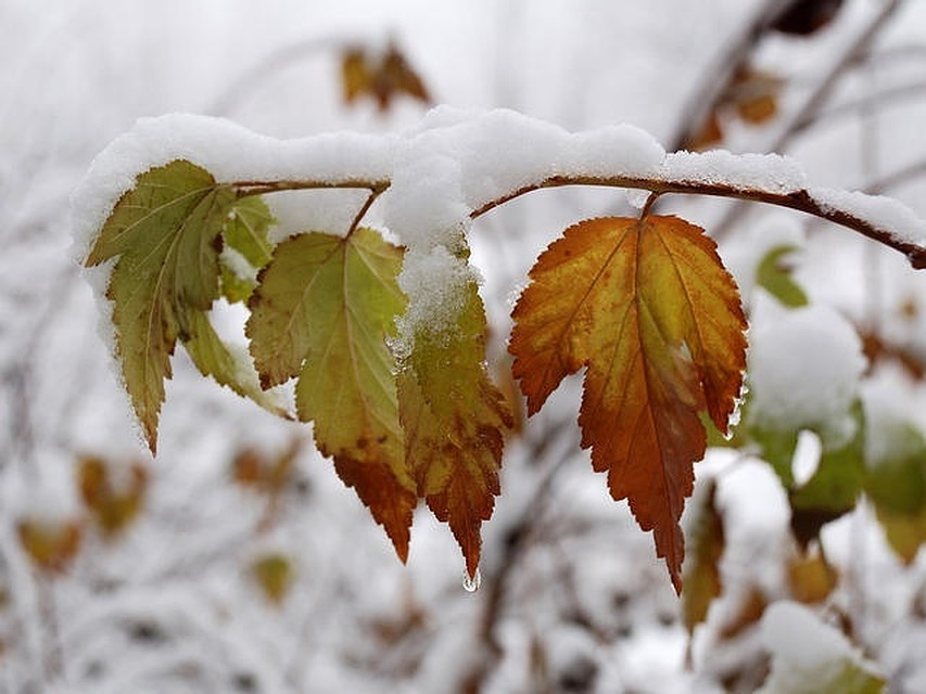 Вот и ноябрь гифы, открытки