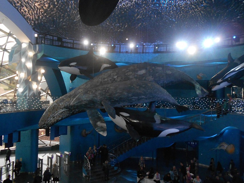 Океанариум Владивосток Официальный Сайт Купить Билет