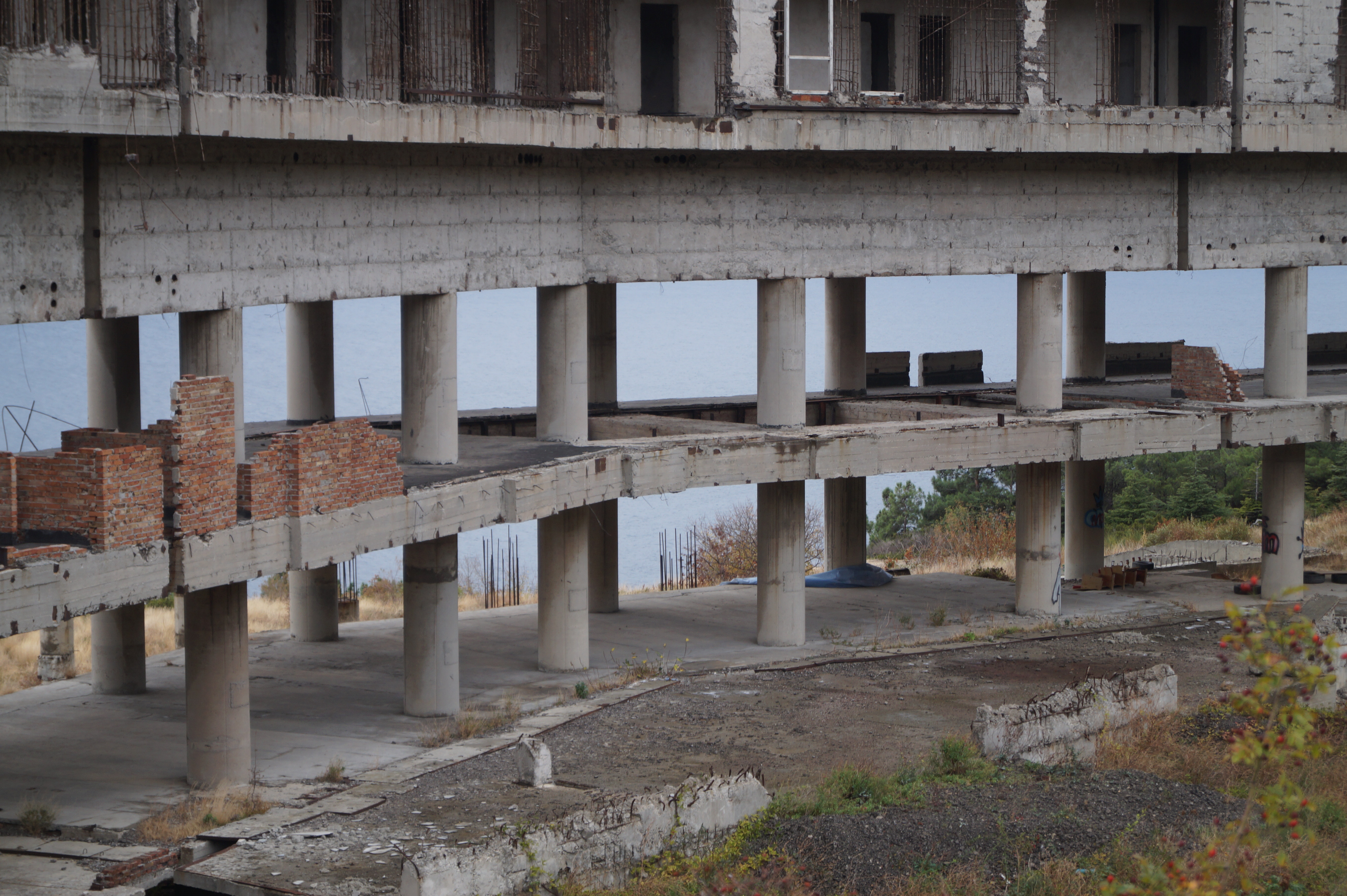 Из окон санатория было бы видно море