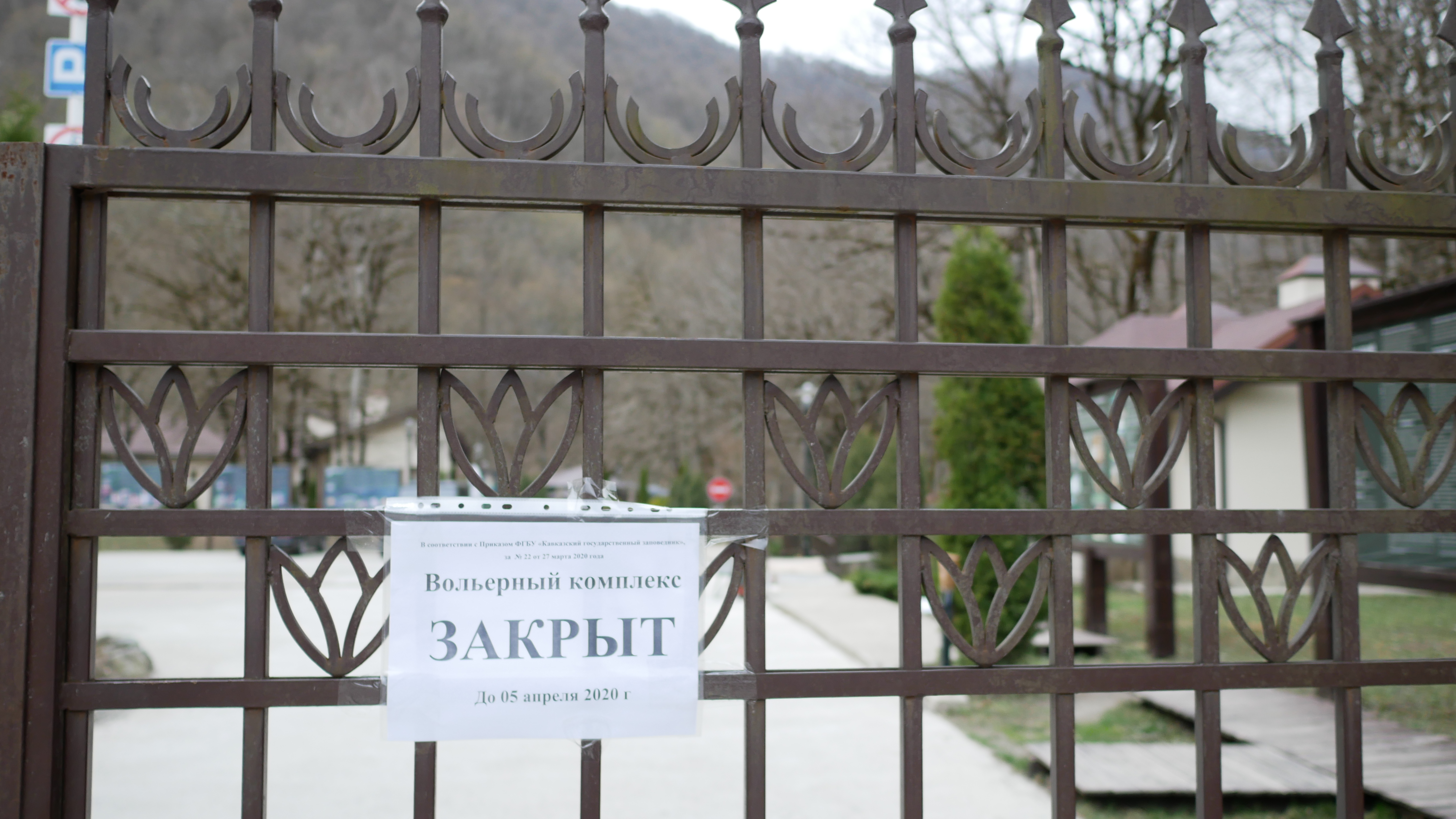 Работа вольерного комплекса «Лаура» приостановлена