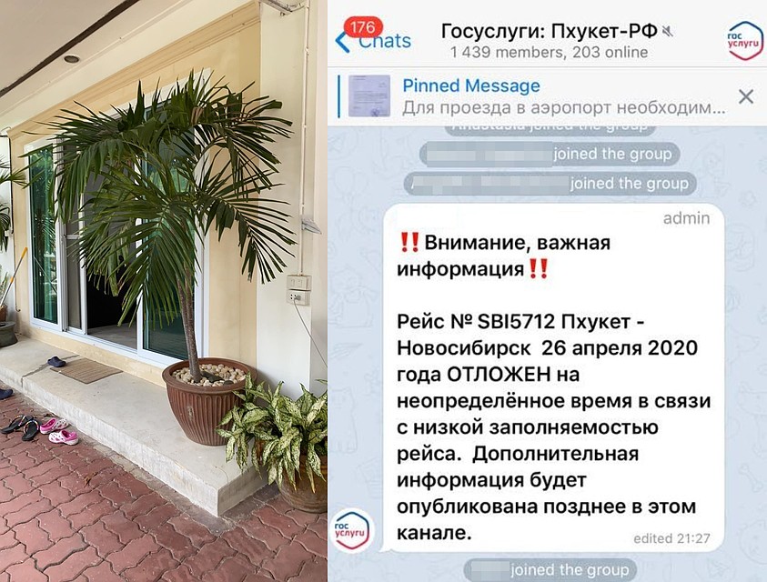 Некоторые самолет отменяют: туристы не спешат покидать Таиланд, предпочитая получать выплаты и снимать виллы. Фото: предоставлено героем публикации.