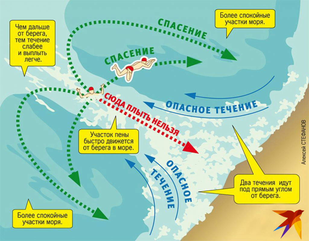 Инфографика: Алексей СТЕФАНОВ