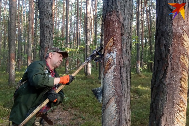 Движения вздымщика доведены до автоматизма. Иногда Александр Рихтиков ловит себя на том, что достиг "безмысленного" состояния - того самого, к которому стремятся буддисты.