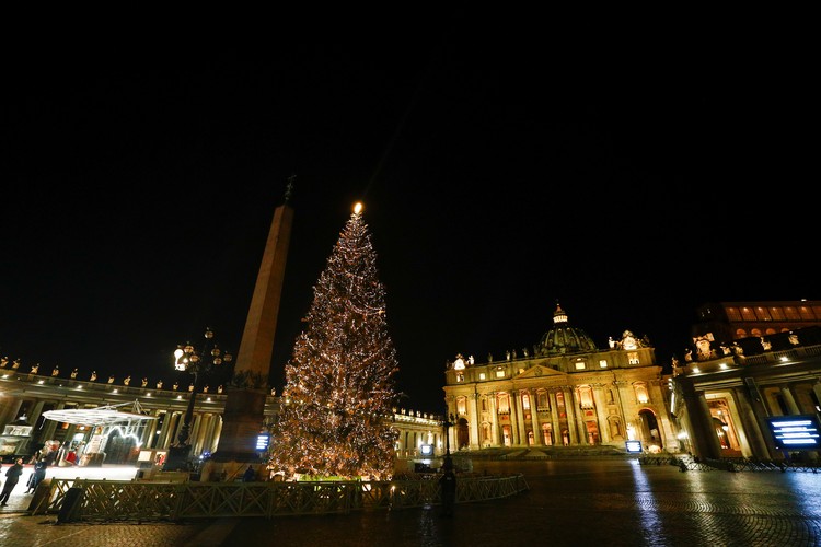 En la ciudadela del catolicismo mundial, el Vaticano, se coloca un árbol de Navidad en St. Peter.