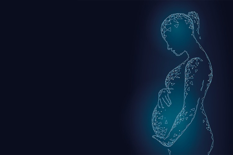 Ученые достаточно близко подошли к решению задачи создания искусственной материнской утробы.