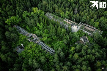 Корпуса санатория постепенно поглощает лес.