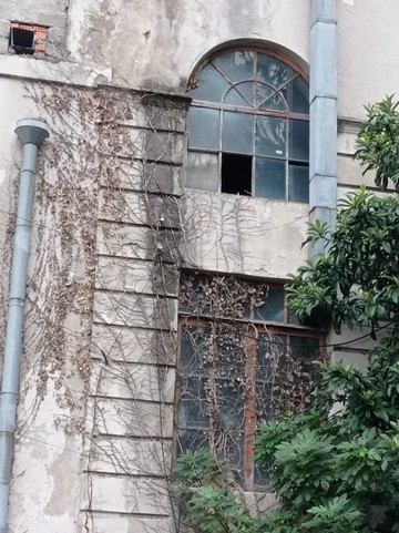 Санаторий Орджоникидзе постепенно разрушается