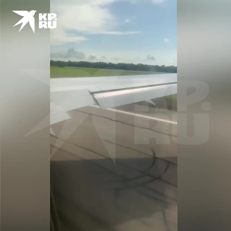 Самолет столкнулся со стаей птиц при взлете