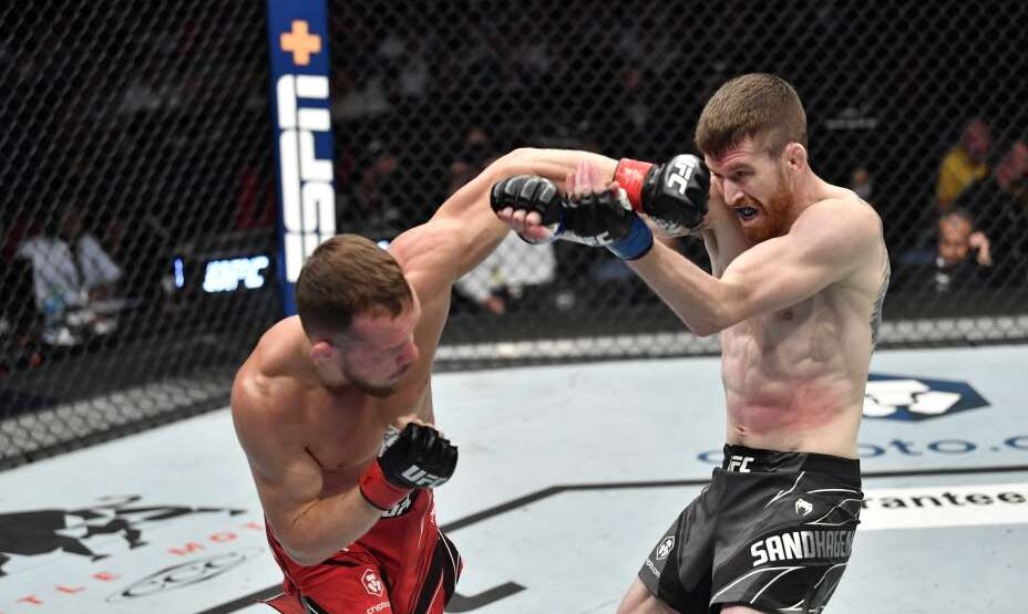 Петр Ян, ММА